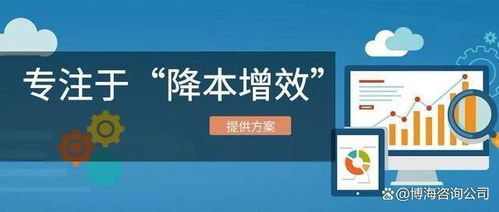 2024年專注采購降本的降本增效咨詢機構最新排名（信息技術咨詢服務領域）