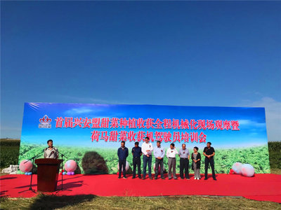 格蘭參加荷馬農機首屆興安盟甜菜種植收獲全程機械化現場會