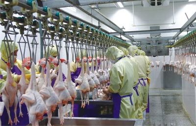【扶貧產業巡禮之六】廣西興業:把農產品深加工做大做強