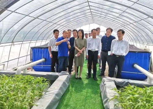 回眸2020,展望2021 太湖農(nóng)業(yè)再出發(fā)