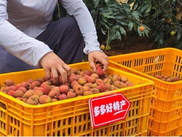 拼多多發(fā)布q1財(cái)報(bào),加速推進(jìn) 千億扶持 新戰(zhàn)略,先商家后平臺(tái)扶持產(chǎn)業(yè)生態(tài)