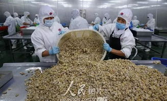 海外大賣(mài) 南通這 3 個(gè)農(nóng)產(chǎn)品基地獲評(píng)省級(jí)示范,你吃過(guò)用過(guò)嗎