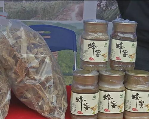 電商農(nóng)產(chǎn)品商紛紛借互聯(lián)網(wǎng) 農(nóng)產(chǎn)品采購(gòu)會(huì)推介自己