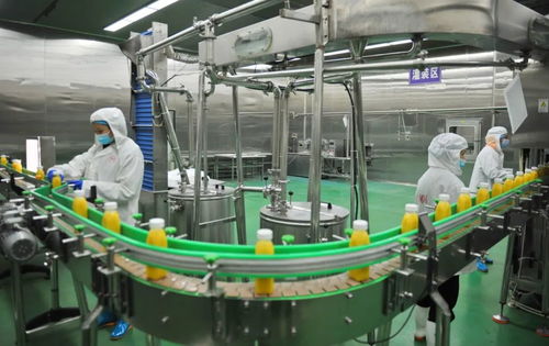 同比增長15.4 南充農(nóng)產(chǎn)品加速走上 世界貨架