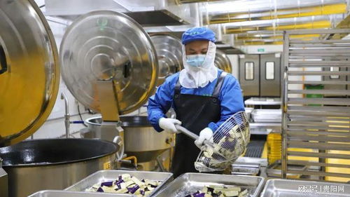 貴陽農(nóng)產(chǎn)品物流園鮮凍蔬菜加工項目投產(chǎn)