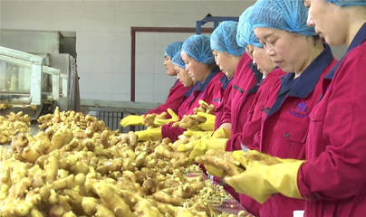 濰坊安丘:強化農(nóng)產(chǎn)品監(jiān)管 打造食品農(nóng)產(chǎn)品質(zhì)量安全示范區(qū)