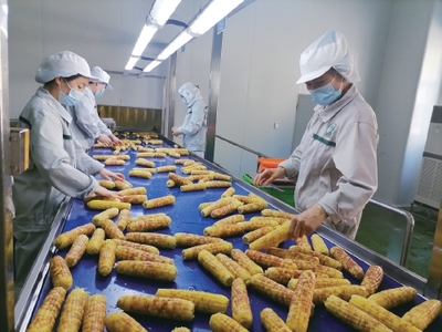 鮮食農(nóng)產(chǎn)品緣何成“餐桌新寵”?