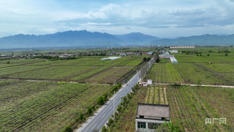 鄉路上,感受脈動中國|“美麗鄉路”服務提質 “地標鮮果”助力振興