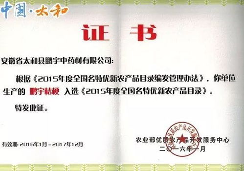剛剛公布 界首這個地方被國家看中 以后不得了 快看是你們村嗎
