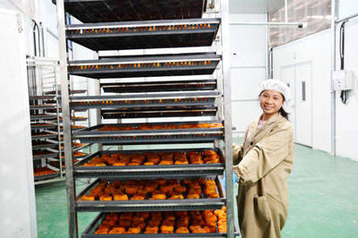 廣西平樂千臺果蔬烘干機助力農產品創(chuàng)收