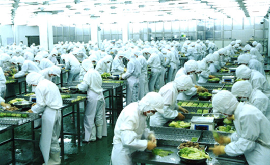 求索企業可持續:走進龍大,探訪生態農業產業鏈